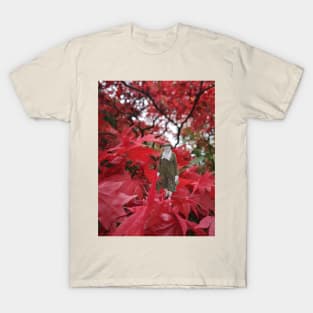 Autumn Stroll T-Shirt